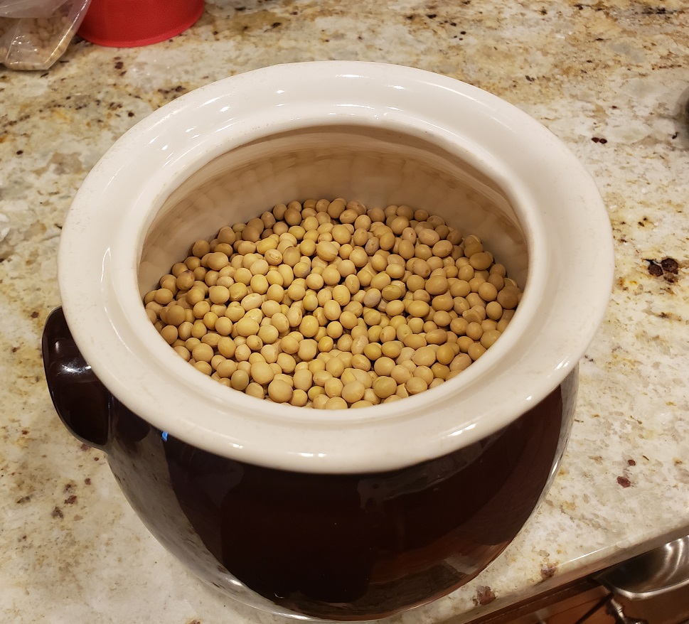 1 kg of dried soybeans (too much)